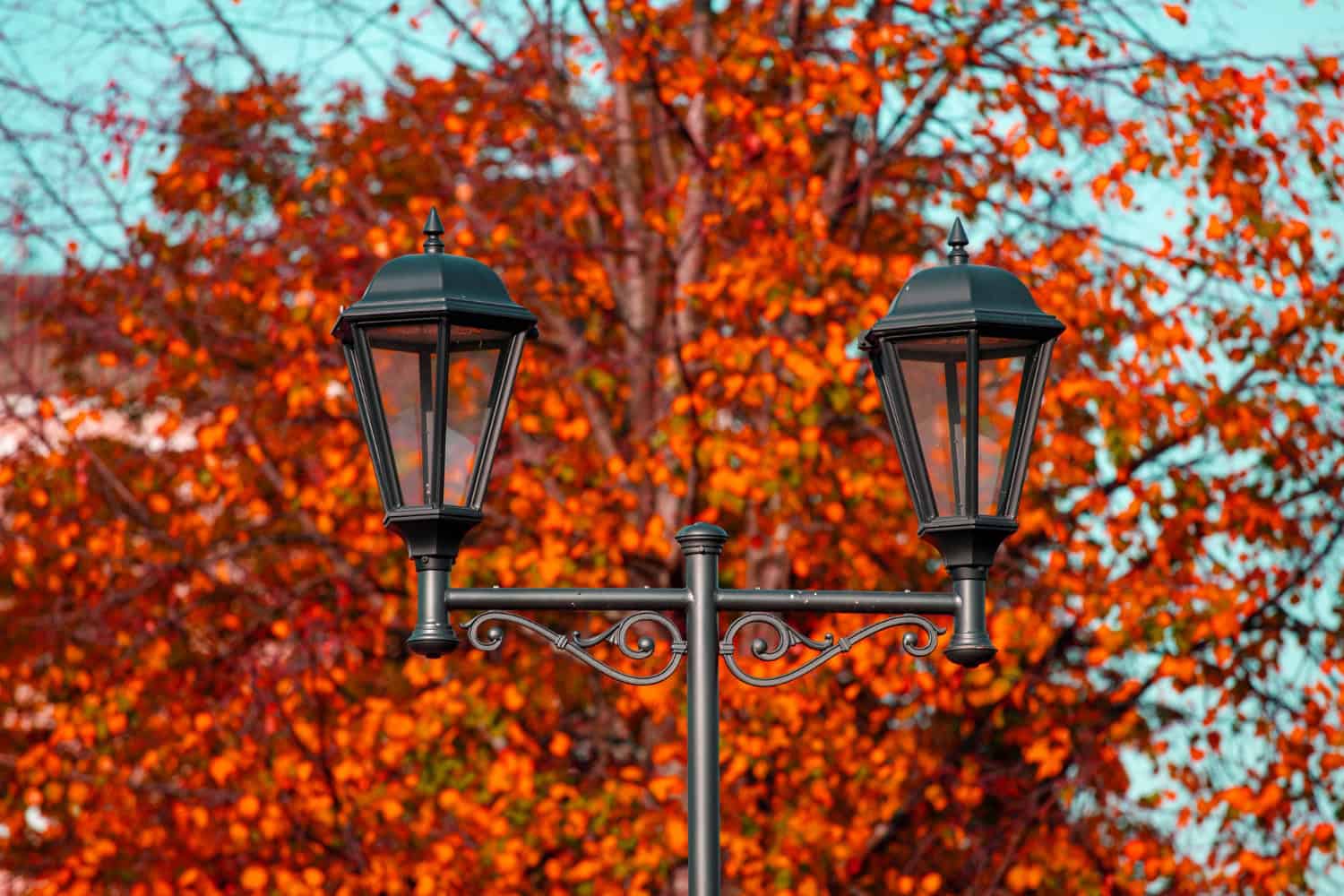 Eine alte Straßenbeleuchtung mit zwei Leuchten. Im Hintergrund ist ein herbstlicher Laubbaum zu sehen.